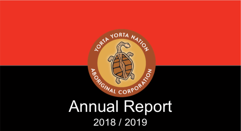 YYNAC Annual Report 2018/2019