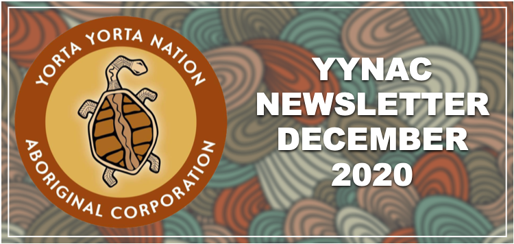 YYNAC Newsletter December 2020