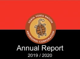 YYNAC 2019-2020 Annual Report